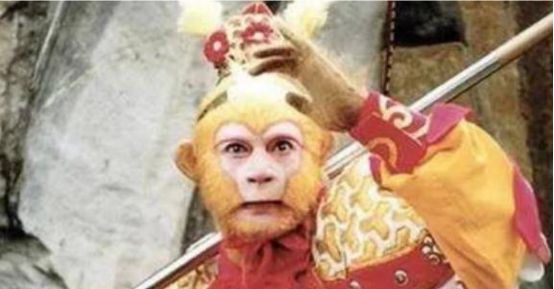 天蓬元帅保唐僧 一生只以食为天是指那一正确生肖仔细释义、解释与落实、专家解答解释落实